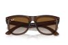 Óculos de sol Ray Ban RBR0502S 6709CB 50 Wayfarer Reverse