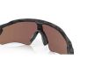 Oakley OO9208-C038 Radar Ev Path